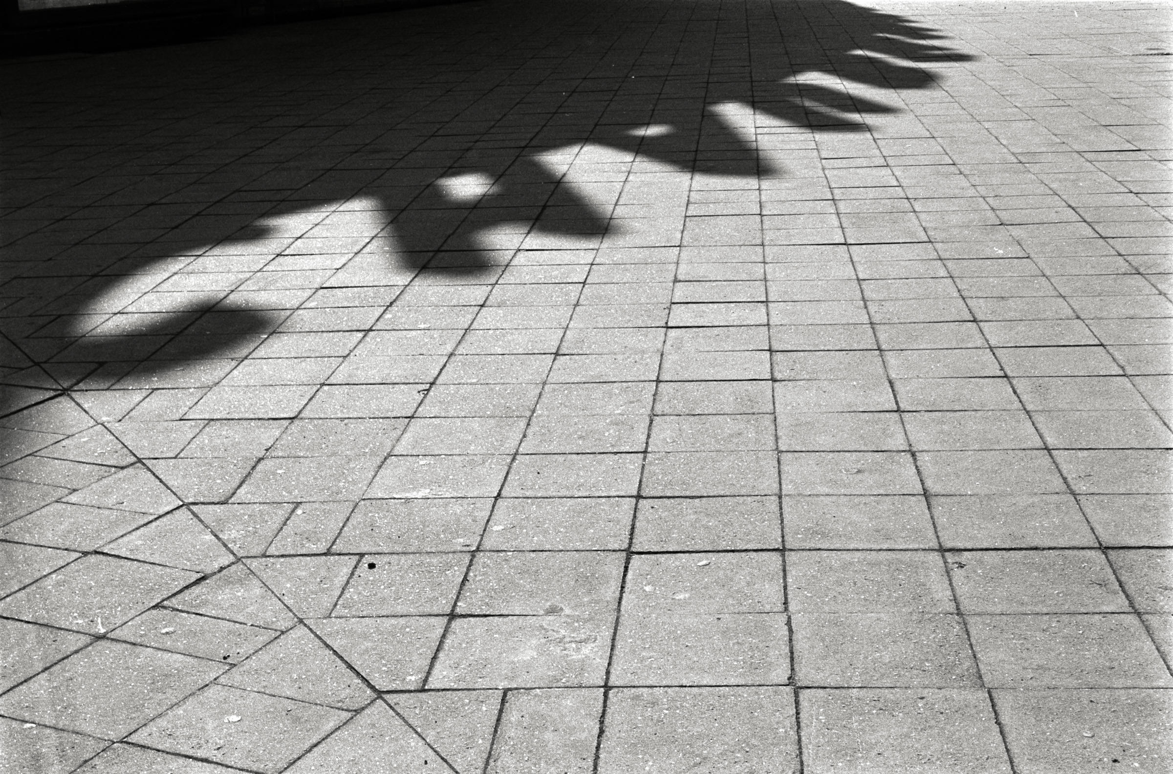 AHP F1993 03 006 sc240902 img03 NLP